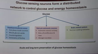 easd2017開幕,邀您共享全球糖尿病領域 盛宴