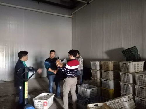 ?？谑乘幈O局靠前服務 以專業指導賦能合作社農產品深加工廠建設